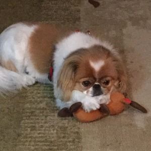 Meet your Posher, Mary margaret